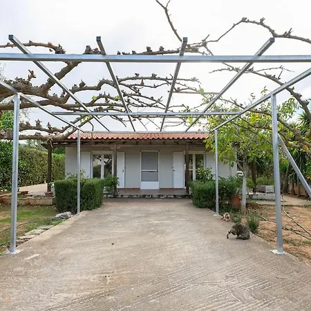 Farmbill Villa Markopoulo Mesogaias Exterior photo