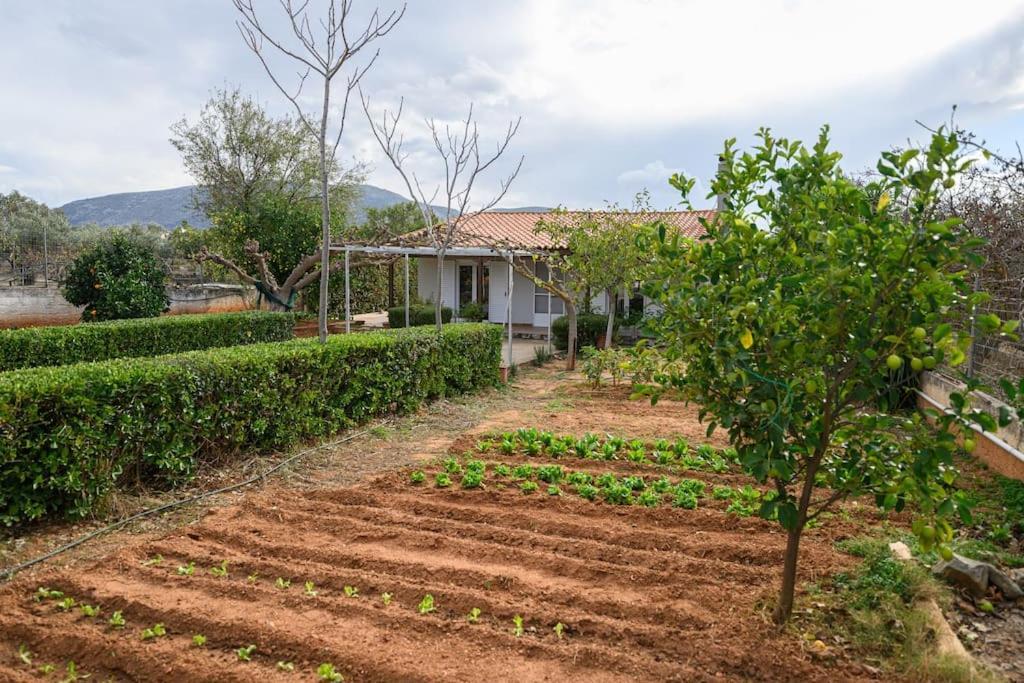 Farmbill Holiday home